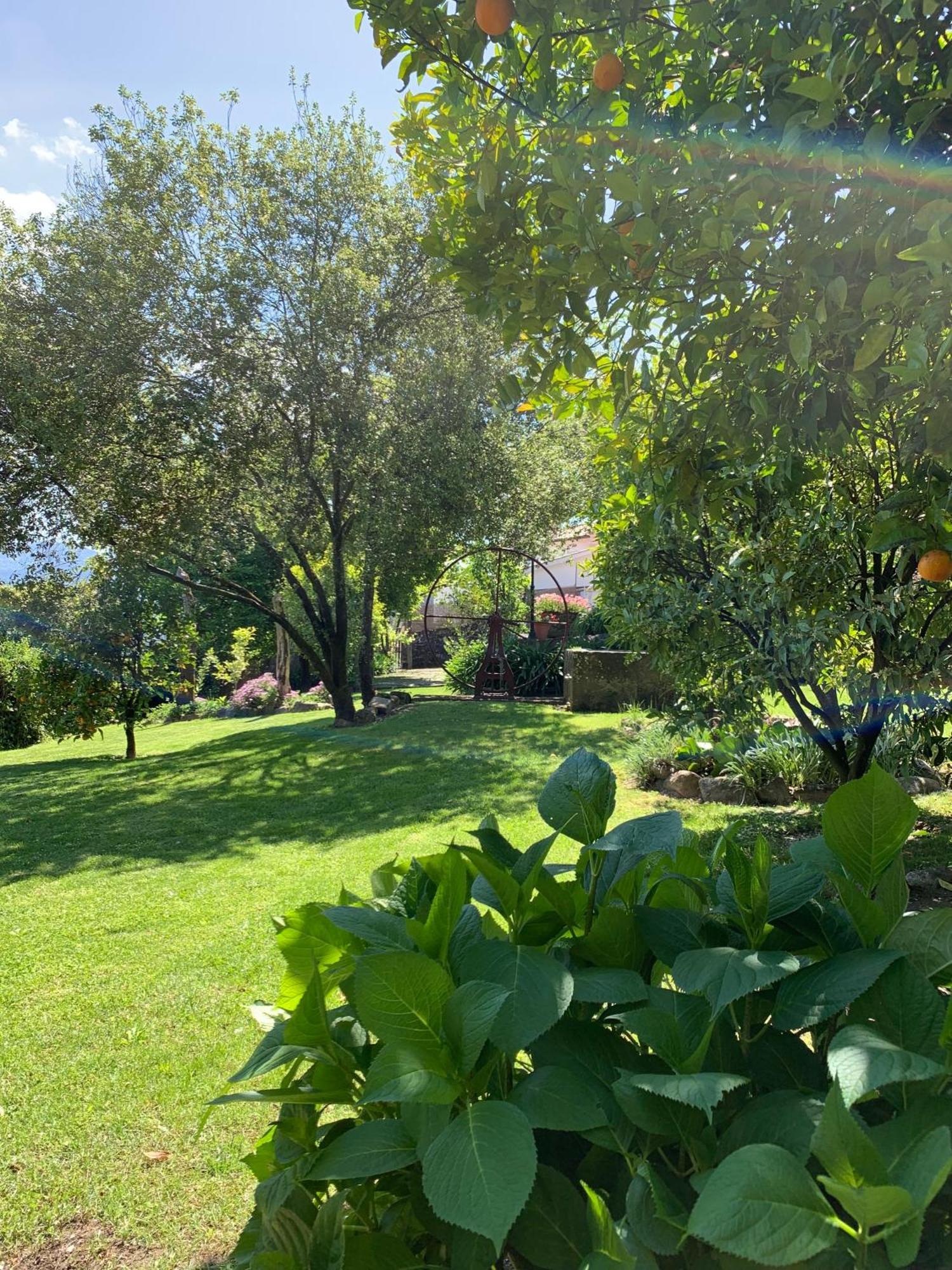 Quinta De Canhoes Sao Pedro do Sul Exterior photo