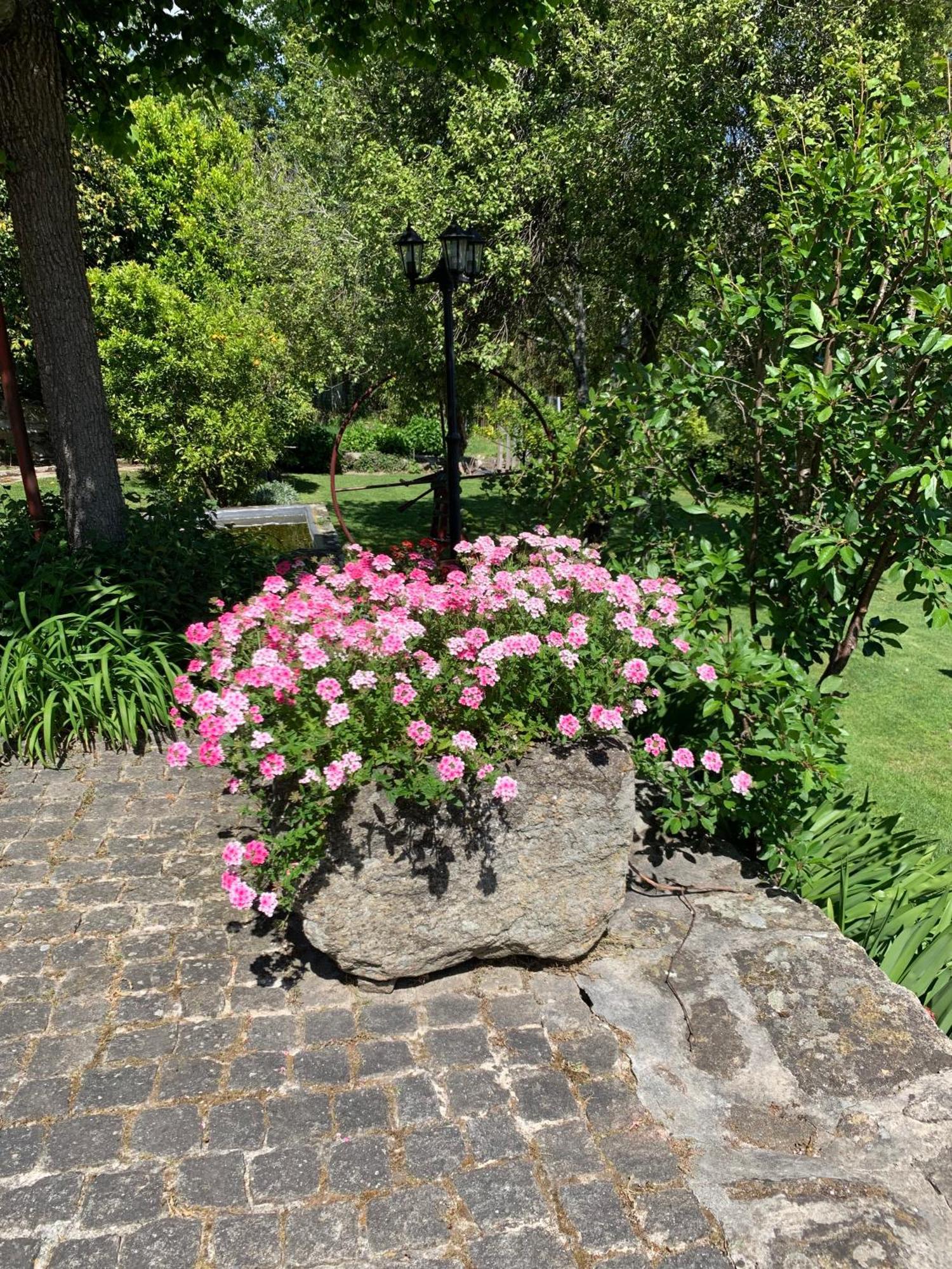 Quinta De Canhoes Sao Pedro do Sul Exterior photo